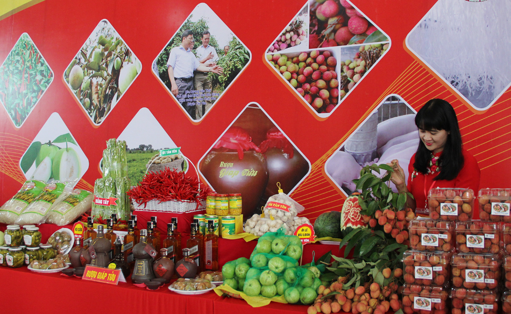 Đẩy mạnh hỗ trợ các hộ sản xuất nông nghiệp lên sàn thương mại điện tử|https://ocop.bacgiang.gov.vn/zh_CN/chi-tiet-tin-tuc/-/asset_publisher/4EWDXplL7iRo/content/-ay-manh-ho-tro-cac-ho-san-xuat-nong-nghiep-len-san-thuong-mai-ien-tu/20181